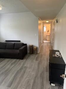 2 bedroom basement Richmond - Photo 4