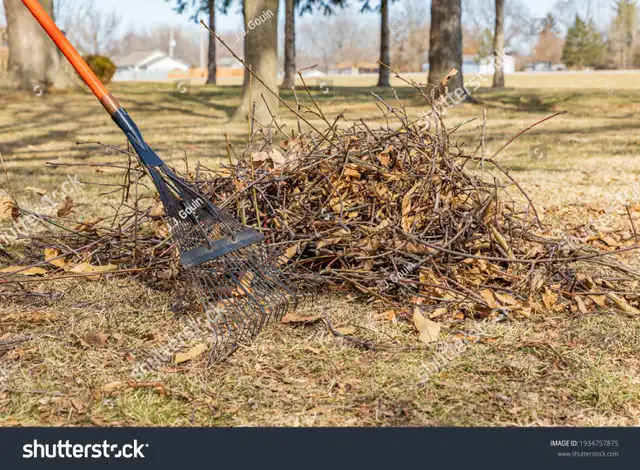 YARD HELP NEEDED TO CLEAN YARD