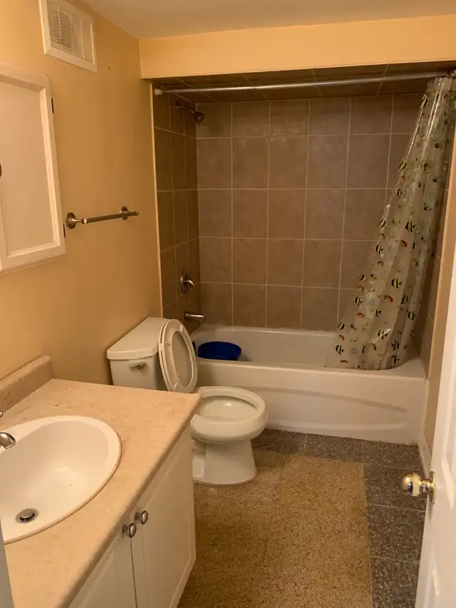 Studio Apartment for rent in Malton from May1/2026 - Photo 2