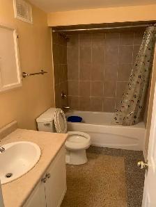 Studio Apartment for rent in Malton from May1/2026 - Photo 2