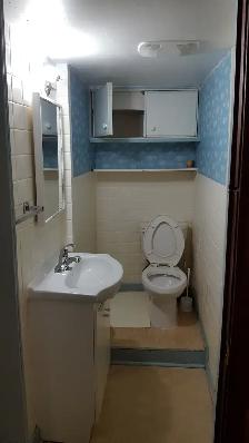 1 Bedroom basement Apt. available from May 1st, 2026 in REXDALE - Photo 5