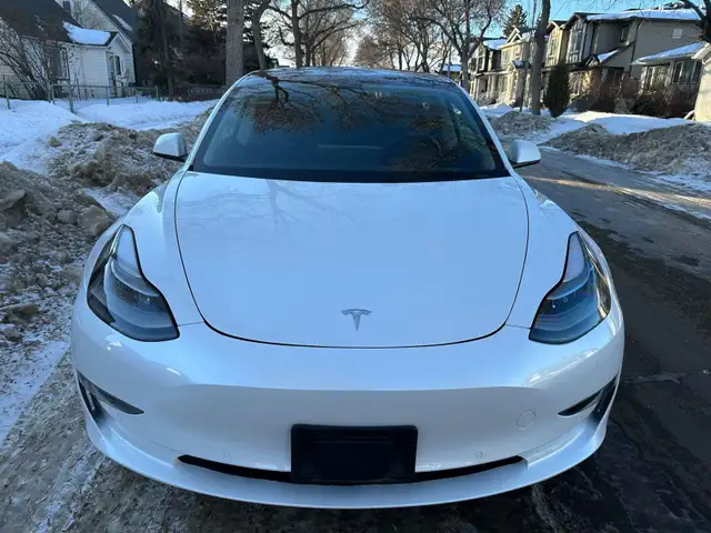 2021 Tesla Model 3 Standard Range Plus or Sale - Photo 3