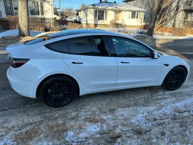 2021 Tesla Model 3 Standard Range Plus or Sale - Photo 8