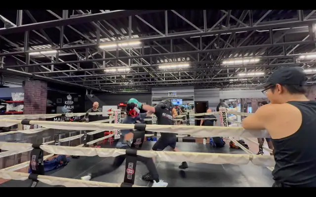 2-on-1 Home Boxing Training — Private & Effective! - Photo 6