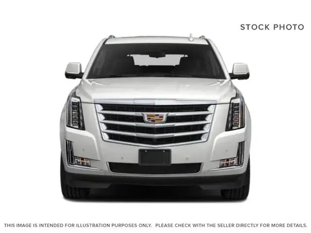 2019 Cadillac Escalade PREMIUM LUXURY - Photo 2