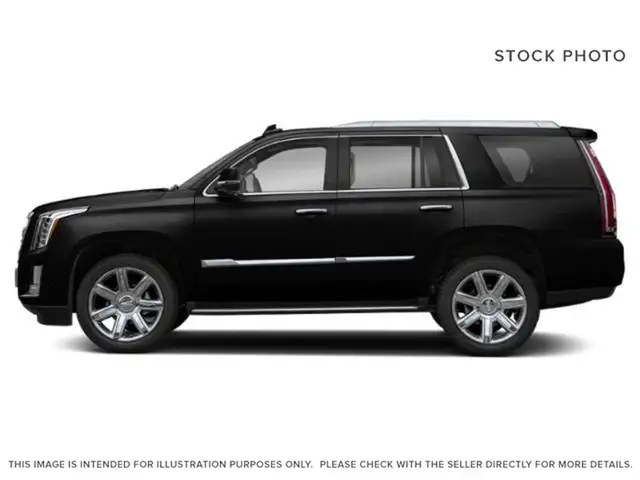 2019 Cadillac Escalade PREMIUM LUXURY - Photo 3