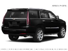 2019 Cadillac Escalade PREMIUM LUXURY - Photo 5