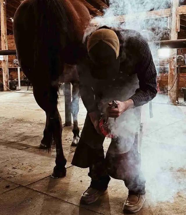 Farrier Services