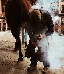 Farrier Services