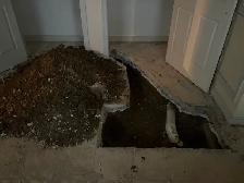 I’m looking for work (NOT HIRING) - Photo 2