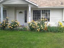 5 Bed 4 Bath 1900 Sq.Ft. Down Town Kelowna