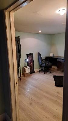 Master  Basement  ISO Reliable 35yr to 65yr Tenant - Photo 3