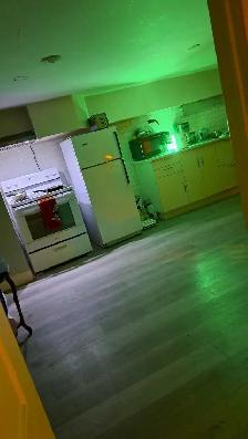 Master  Basement  ISO Reliable 35yr to 65yr Tenant - Photo 4