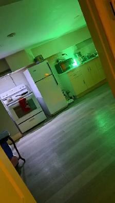 Master  Basement  ISO Reliable 35yr to 65yr Tenant - Photo 5