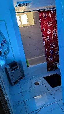 Master  Basement  ISO Reliable 35yr to 65yr Tenant - Photo 6