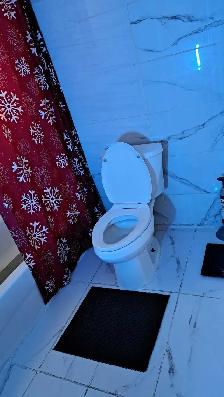 Master  Basement  ISO Reliable 35yr to 65yr Tenant - Photo 7