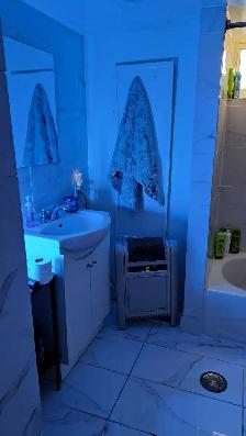 Master  Basement  ISO Reliable 35yr to 65yr Tenant - Photo 8