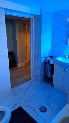 Master  Basement  ISO Reliable 35yr to 65yr Tenant - Photo 9