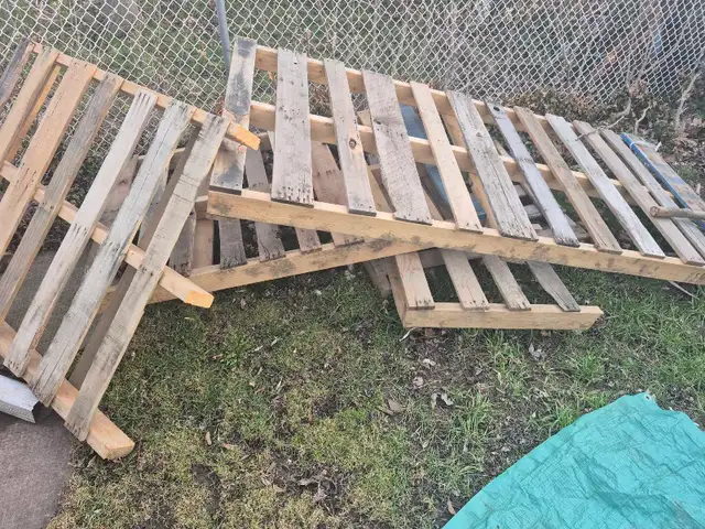 Free skids and dried branches good for burning.