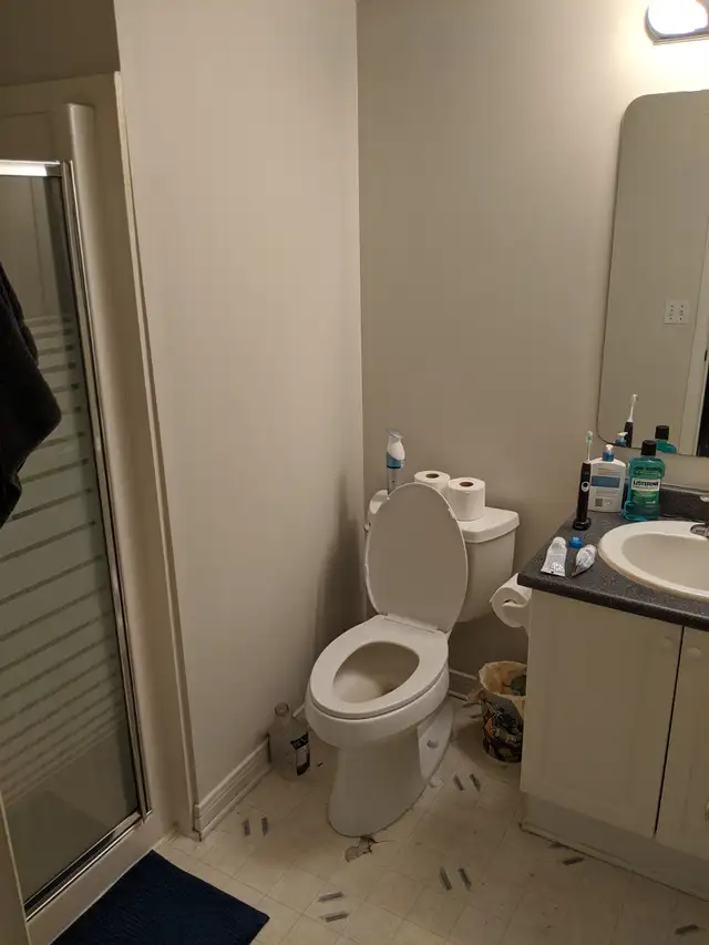 All Included Spacious Room In Beautiful/Clean/Quiet Home-Jun 1st - Photo 7