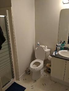 All Included Spacious Room In Beautiful/Clean/Quiet Home-Jun 1st - Photo 7