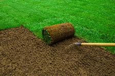 SOD Delivery and Installation