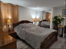 Private Furnished Apartment | Parking | York University - Photo 5