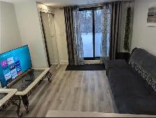 Private Furnished Apartment | Parking | York University - Photo 6