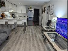 Private Furnished Apartment | Parking | York University - Photo 8