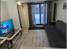 Private Furnished Apartment | Parking | York University - Photo 9