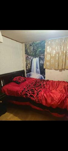 Basment for rent - Photo 3