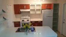 Walkerville - 2 bedroom apartment available- call 519-566-8228 - Photo 7