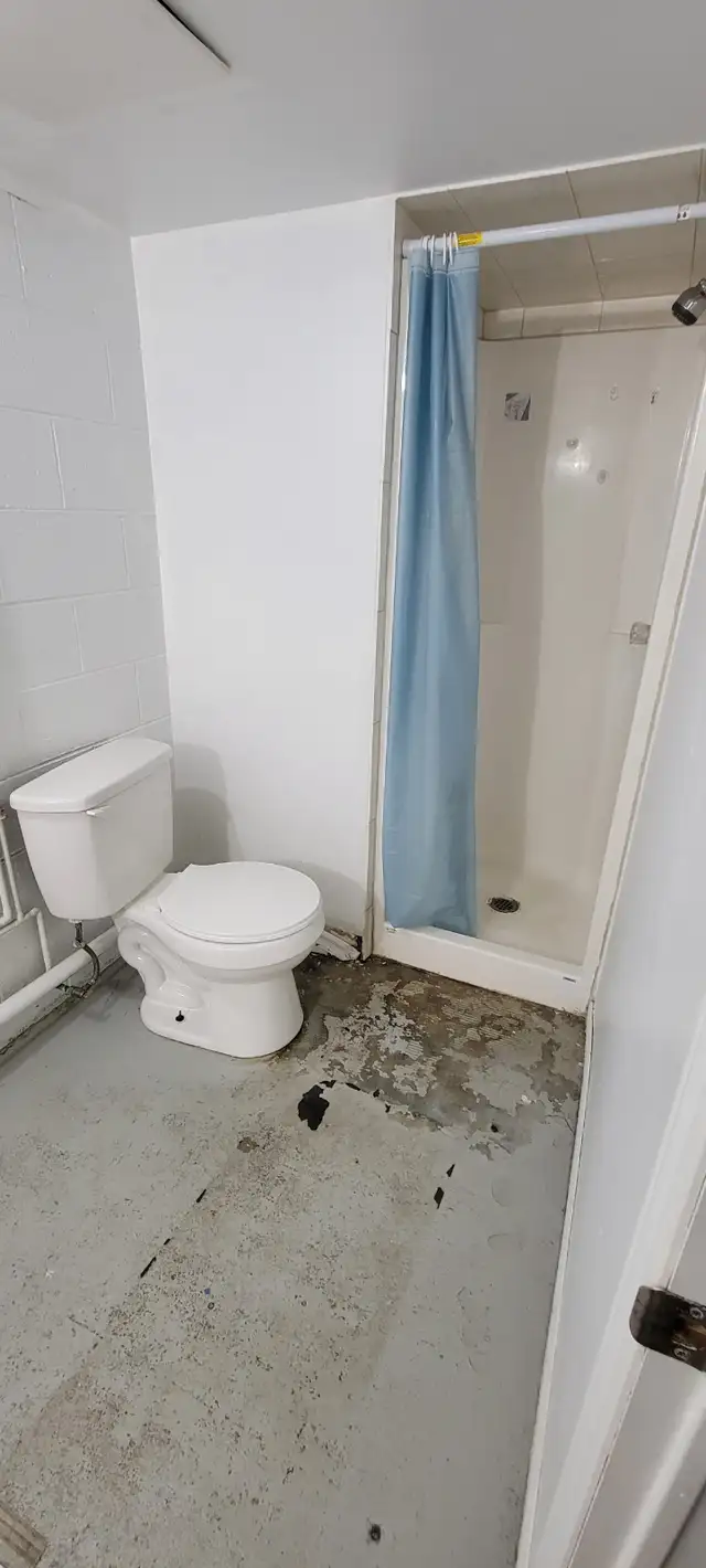 4 bedroom 2 bath house near University available to rent - Photo 6