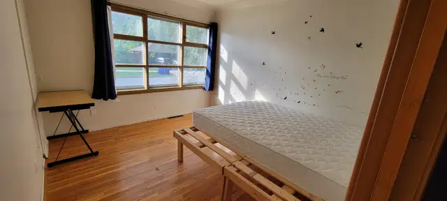 4 bedroom 2 bath house near University available to rent - Photo 7