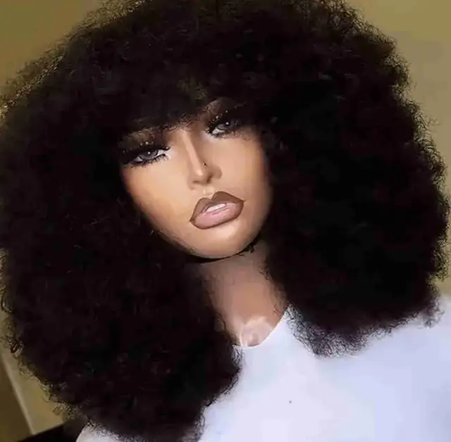 100% Human hair wigs