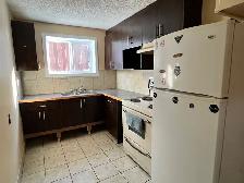 one bedroom unit in 4plxe - Photo 4