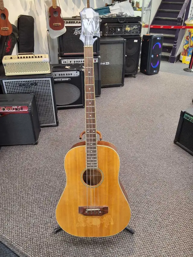 Epiphone El Segundo IV Acoustic Electric Bass