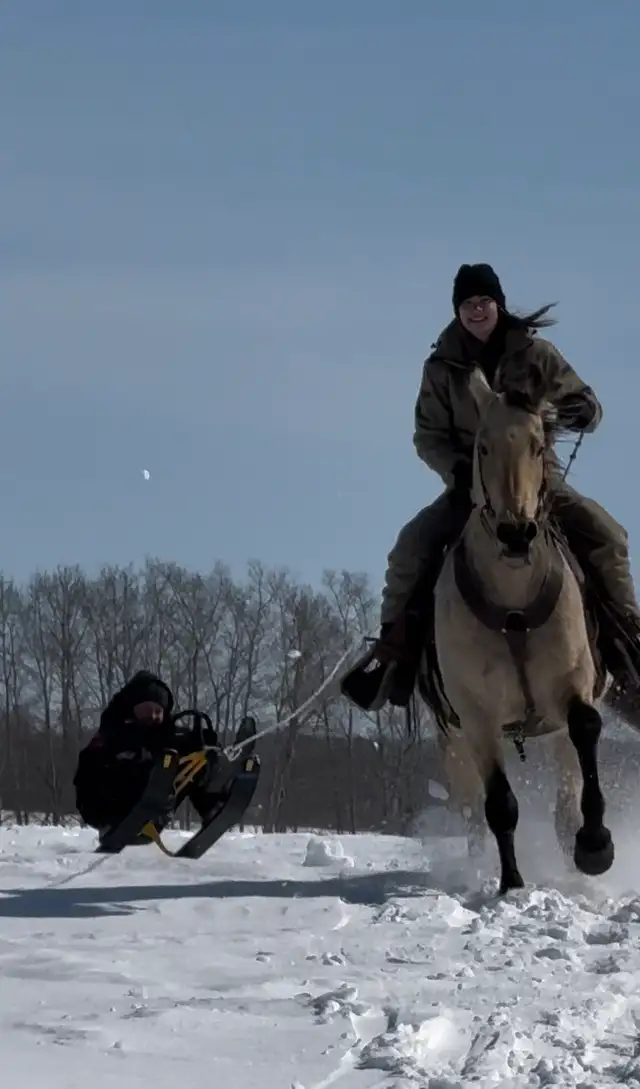 Mack - the perfect family horse - Photo 6