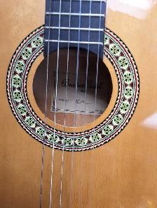 Beaver Creek Jr Classical Guitar BCTC401 - Photo 2