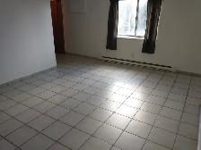 Downtown. Large 1 Bedroom Apt. All incl. utils. $1250 - Photo 2