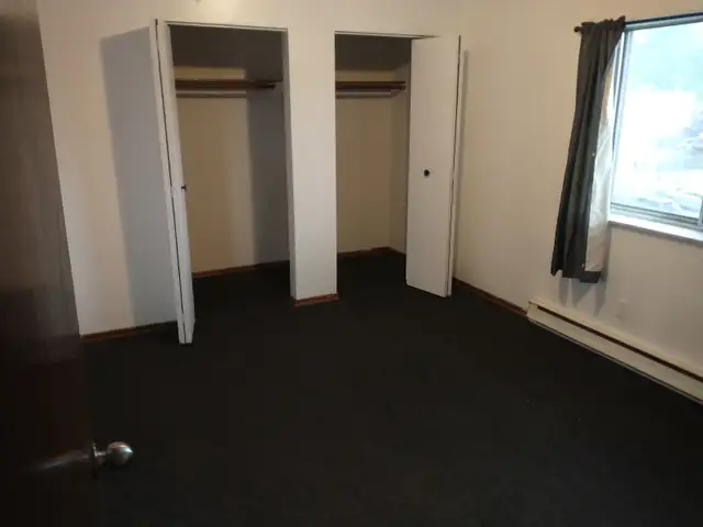 Downtown. Large 1 Bedroom Apt. All incl. utils. $1250 - Photo 4