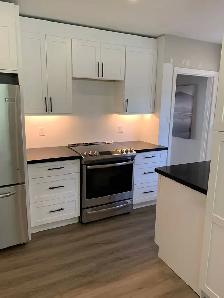 Custom Cabinets- Any Style, Size, or Color - Photo 5