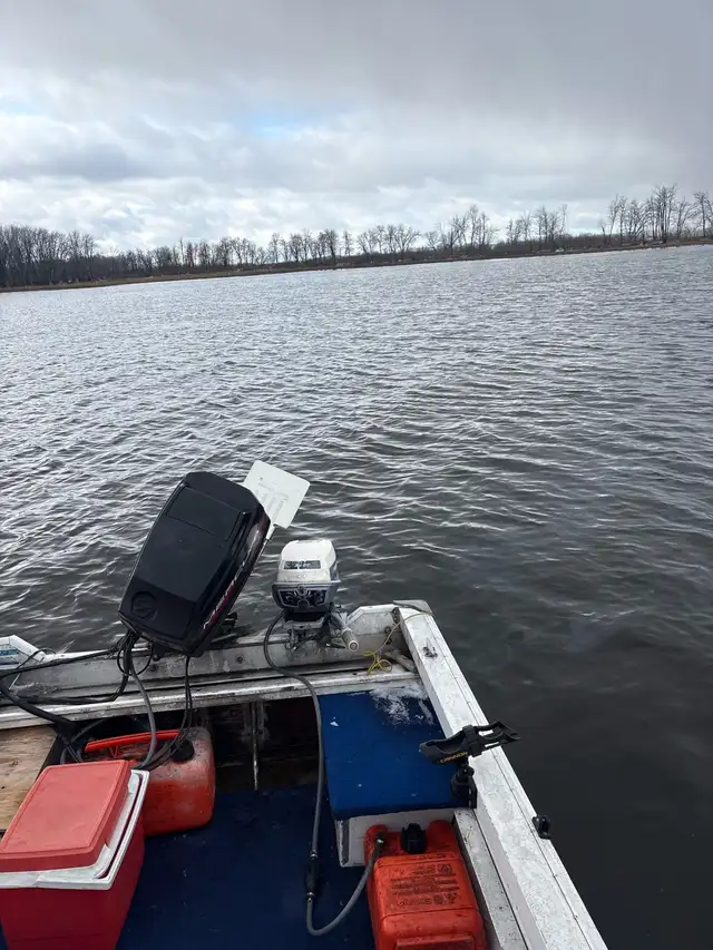 1987 espadon bass 465