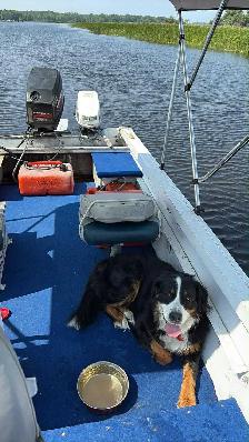 1987 espadon bass 465 - Photo 10