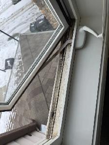 Deep cleaning moving out/in