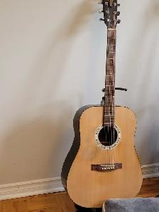 FREE: Beginners Guitar and Stand