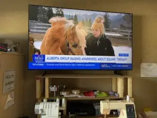 Two Men to move the TV