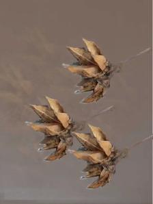 loving for volunteer board member/secretary