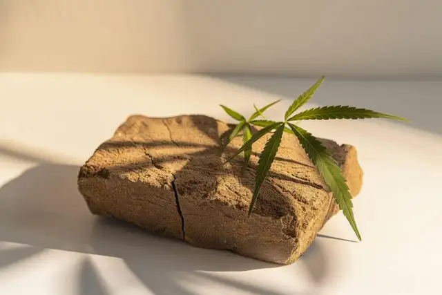 AmsterDam Sativa - Photo 3