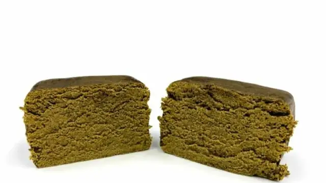 AmsterDam Sativa - Photo 8